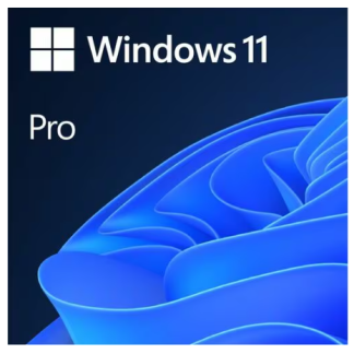 "Microsoft Windows 11 Pro 64 Bit - Todos los idiomas - Descargable "